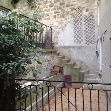 Terraced In Montmartre